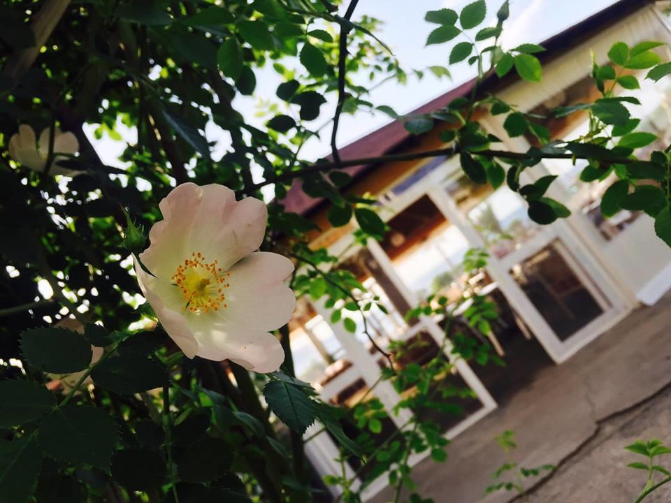 Kompleksi Turistik Edir โอริคูม ภายนอก รูปภาพ